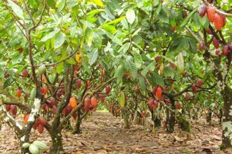 up_ag_24646_4f5f4663-1b25-4cd8-4dba-8d12940acafe